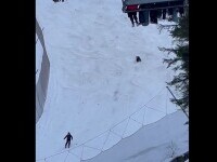VIDEO. Momentul în care un schior este fugărit de urs pe o pârtie din Predeal