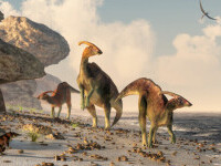 O fetiță de patru ani din Regatul Unit a descoperit o urmă de dinozaur pe plajă. Cum arată. FOTO