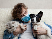 Câinii și pisicile vor fi testați pentru coronavirus. Țara care a luat această decizie