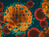 Coronavirus România, bilanț 24 martie. Peste 4000 de cazuri în ultimele 24 de ore