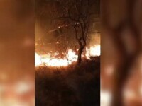 Incendiu puternic lângă vulcanii noroioși din Buzău. Au ars 80 de hectare de vegetație