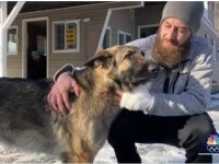 Un câine din SUA și-a salvat stăpânul după ce i-a adus pe polițiști la locul accidentului: ”Este un miracol”