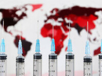 OMS: Vaccinurile anti-COVID 