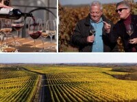 Wine Trips România, episodul 7. Povestea vinurilor de aur de la Sâmburești, medaliate cu aur pe plan internațional