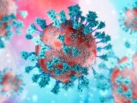 Coronavirus România, 17 ianuarie. 1.903.428 cazuri de persoane infectate, până în prezent