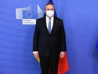 Camera de Comerț și Industrie a României, alături de premier în scandalul plagiatului: „Je suis Ciucă”