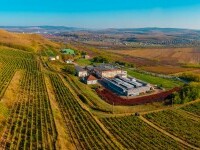 Wine Trips România a ajuns la Jidvei. Mircea Radu a aflat tainele preparării vinurilor spumante