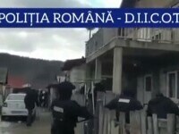 Șapte persoane au fost arestate pentru trafic de etnobotanice, în Iași. Ce au găsit procurorii la percheziții