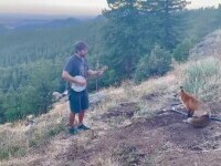 Un muzician din Colorado, rămas fără contracte din cauza pandemiei, a avut un spectator special: o vulpe