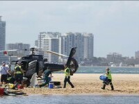 accident elicoptere australia