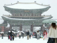 FOTO. În timp ce în România este vreme de primăvară, în Coreea de Sud a căzut cea mai grea ninsoare din ultimii 40 de ani