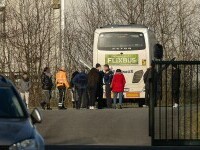 autocar oprit în Belgia