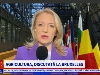 Fermierii români cer derogări de la Bruxelles. Ce vor să obțină