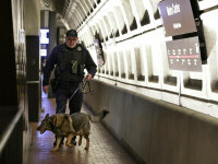 Alertă maximă în SUA după atacurile din primele zile ale anului 2025. Ianuarie, o lună plină de evenimente importante