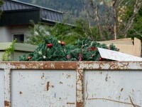 Un magazin din România oferă vouchere celor care returnează brazii naturali de la Crăciun. Ce sumă primesc clienții