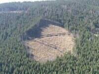 CEDO obligă statul român să retrocedeze 17.000 de hectare de pădure sau să plătească despăgubiri de 61,5 de milioane de euro