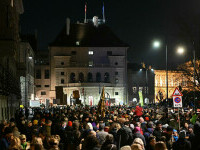 protest Viena