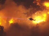 Ce spun românii prinși în infernul din Los Angeles. ”Ce am văzut este o catastofă, arată post-apocaliptic”