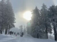ski