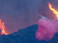 Incendiile din Los Angeles. Rolul pudrei roz pulverizate de avioanele care luptă cu flăcările. 
Conţine 80% apă