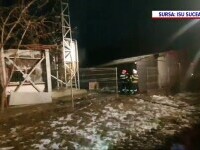 Fermă cu 5.000 de porci din Suceava, mistuită de un incendiu. Niciun animal nu a scăpat cu viață