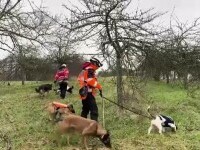 Câinii din Franța ajută la depistarea fisurilor din rețeaua de apă potabilă. Au detectat peste 90% din defecțiuni