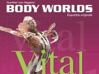 BODY WORLDS – Vital