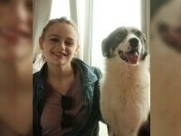 Cățelușa fără stăpân din București care locuiește acum la Hollywood. Starul Joey King a adoptat-o pe loc: ”Mi-ai furat inima”