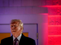 Reuters: Ambasadorul Germaniei avertizează asupra planului lui Donald Trump de a redefini ordinea constituţională