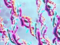 Paradoxul colagenului din produsele cosmetice. Hidratează pielea, dar nu e reținut în organism