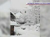 „Situația este critică”. Aproape 100.000 de locuințe nu au curent după furtună. Cablurile, rupte de copacii căzuți