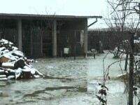 Gospodării și case inundate în Mehedinți, după topirea zăpezii. Apa în curți a ajuns și la jumătate de metru