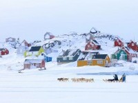 WSJ: Trump vrea să cumpere Groenlanda. Liderul SUA spune că tot ce face Danemarca pentru insulă e să ia sănii trase de câini