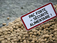 Protest cu cartofi prăjiți în fața Parlamentului European de la Bruxelles. Acordul UE–Mercosur este considerat „incorect”