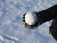 Un bărbat din Țările de Jos a murit în urma unui conflict cu doi adolescenți care aruncau bulgări de zăpadă în mașini