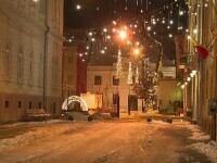 Ger în toată țara. La Timișoara temperatura a ajuns la - 12 grade. Un copac căzut și a blocat ușa unui magazin, în Baia Mare