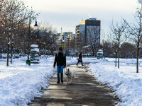 Vreme mai rece decât normalul în următoarele patru săptămâni. Zonele în care vor fi mai puține ninsori și ploi