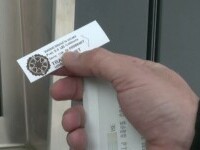 Bilet pentru animalele de companie în transportul public: măsura s-ar putea extinde în mai multe orașe