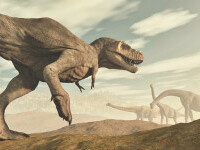 Un cuib de dinozaur, cu ouă vechi de 150 de milioane de ani, a fost descoperit în Portugalia