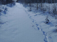 Zăpadă de până la doi metri în munții Sucevei. Mai multe trasee sunt nerecomandate. Avertisment de la Salvamont