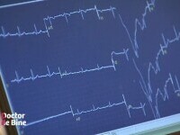 Mișcarea este echilibrul chimicalelor dintre creier, inimă și vase. Legătura cu impulsurile electrice