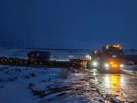 A ajuns în România cârtița uriașă care va străpunge Carpații. Are dimensiunea unui teren de fotbal și va săpa 20 de m pe zi