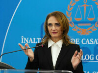 Un deputat USR cerere amendarea șefei ÎCCJ: Depunerea expertizei la CCR cu doar o zi înainte, o încălcare a bunei-credințe