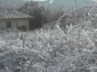 Întreruperi de energie electrică în opt localități din Harghita, posibil din cauza vremii. 1.500 de consumatori, afectați