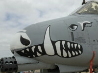 Răzbunarea SUA. Donald Trump l-a eliminat pe liderul Al-Qaeda din Siria, responsabil de moartea a doi soldați americani