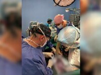 Un transplant de inimă s-a făcut la limită după ce gerul a întârziat transportul. „A ajuns cu două ore în plus”