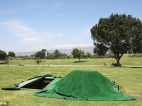 cimitirul Forest Lawn