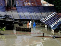 Inundatiile, o frana in calea redresarii economiei.Culturile sunt la pamant