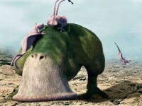 Vezi cum arata extraterestrii in viziunea celui mai destept om din lume