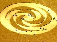 Fenomen paranormal sau afacere? Mitul cercurilor din lanul de grau